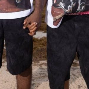 WILO  ACID WASH JORTS