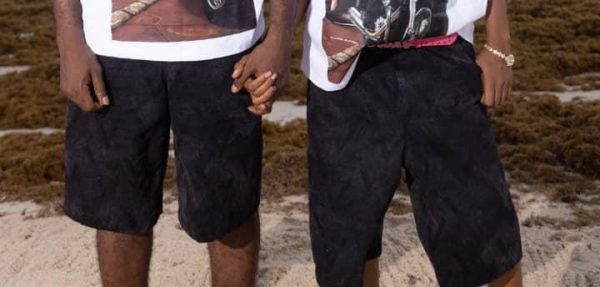 WILO  ACID WASH JORTS